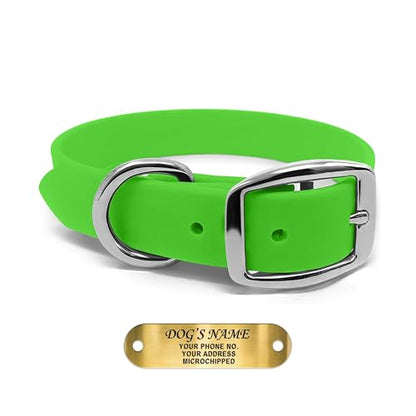 Regal Dog Products Small Light Green Waterproof Dog Collars with Custom Engraved Name Plate | Vinyl Coated, Easy to Clean Personalized Biothane Dog Collar - Other Sizes for Medium & Large Dogs - color: Light Green, size: Small Collar