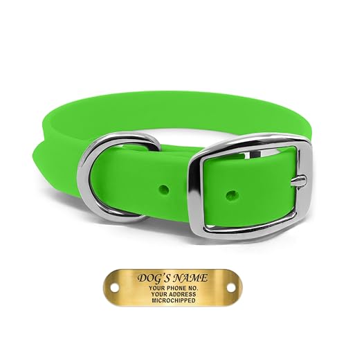 Regal Dog Products Small Light Green Waterproof Dog Collars with Custom Engraved Name Plate | Vinyl Coated, Easy to Clean Personalized Biothane Dog Collar - Other Sizes for Medium & Large Dogs - color: Light Green, size: Small Collar