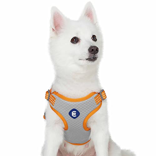 Blueberry Pet Essentials Back to Basics Reflective Dog Harness Vest, Apricot, Medium, Adjustable Harnesses for Dogs - color: Apricot, size: Medium (Pack of 1)