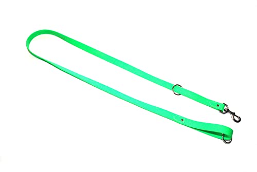 Regal Dog Products Waterproof Leash – 5 ft. Green Dog Leash with Easy to Use Collar Hook, Lightweight, and Proof Training Pet Lead with Vinyl-Coated Webbing for Small, Medium, Large, or XL Dogs - color: Green