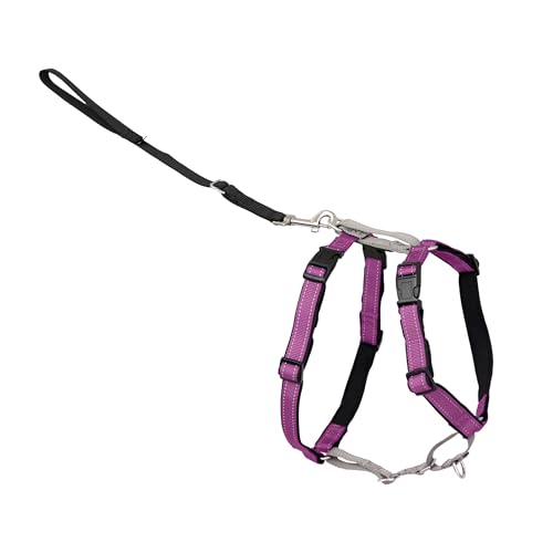PetSafe 3 in 1 Dog Harness - No Pull Solution for Dogs - Reflective Dog Harness - Front D-Ring Clip Helps Stop Pulling - Comfortable Padded Straps - Top Handle Enhances Control - Plum - Small - color: Plum, size: Small (Pack of 1)