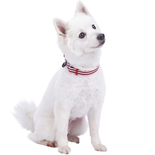 Blueberry Pet Safety Dog Collar with Dual D-Rings | 3M Reflective Multi-Colored Adjustable Collar in Marsala Red and Pink | Soft Nylon Dog Collar for Active Small Dogs