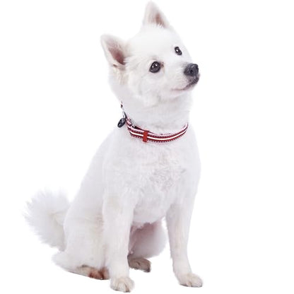 Blueberry Pet Safety Dog Collar with Dual D-Rings | 3M Reflective Multi-Colored Adjustable Collar in Marsala Red and Pink | Soft Nylon Dog Collar for Active Small Dogs
