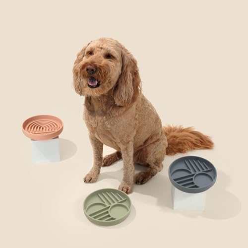 Should We Go? Slow Feeder for Dogs & Puppies, The Slowdown Bowl Silicone Slow Eating, Modern Lick Mat Design, Reduces Gulping, Fits 2 Cups, 7.5” Across x 1.5” Tall, Mealtime Challenge, Medium-Sage - color: Sage - Sunset Design, size: Medium (7.5” Across x