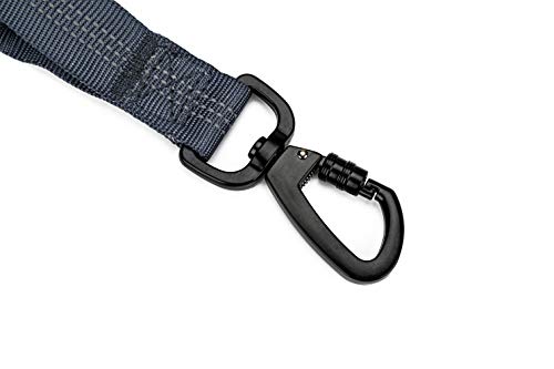 6FT Highly Reflective Heavy Duty Elastic Bungee Medium and Large Dog Leash Shock Absorbing with Comfortable Padded Handle and Traffic Handle Suitable for Training Grey - color: Grey