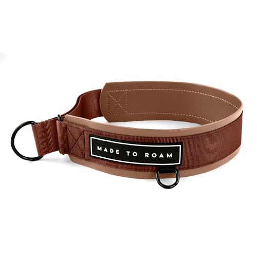 MADE TO ROAM Premium Everyday Dog Collar - Martingale Style No Pull Vegan Leather Collar, Heavy Duty and Lightweight for Small, Medium, Large Dogs (Arizona Heartbeat, Size 2) - color: Arizona Heartbeat, size: Size 2