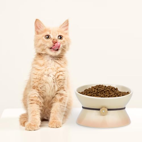 Cat Bowl Elevated Cat Bowls Whisker Friendly Cute Ceramic Tilted Food Bowls for Indoor Cats 6.1 Inch Wide 15° Raised Kitten Supplies Dishwasher and Microwave Safe Yellow Cats Water Bowl - color: Yellow Ceramic Elevated Cat Bowls