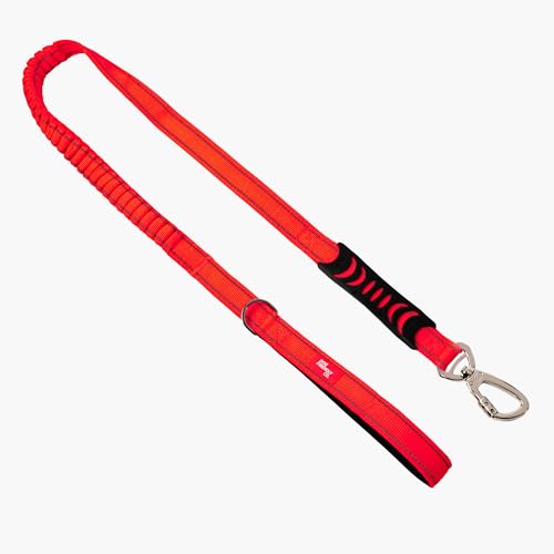 Dog Friendly Co. Bungee Dog Leash | Strain Free & Shock Resistant for Control | Neoprene Padded Handle, Heavy-Duty Carabiner Clip, and D-Ring | Red, Size Small - color: Red, size: Small