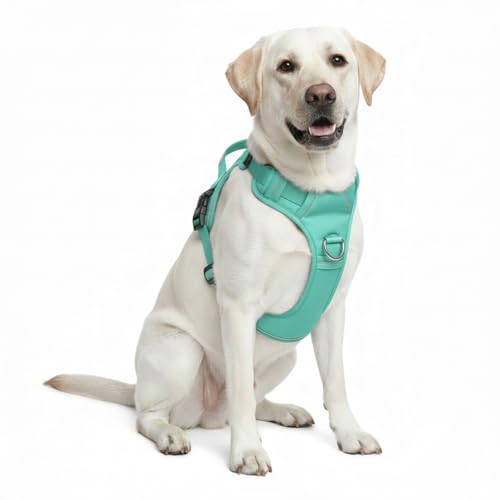 No Pull Dog Harness with 2 Leash Clips, Adjustable Soft Padded Reflective Oxford Pet Vest with Easy Control Handle for Large Dogs (Turquoise, Large) - color: Turquoise, size: Large