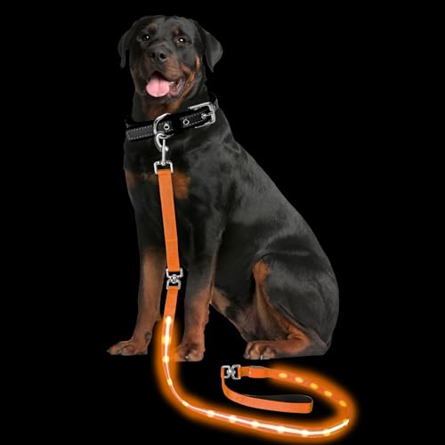 Light up Dog Leash for Night Walking - USB C Rechargeable - Waterproof - Dog Leashes with Flashlight - LED Leash for Dogs - 6Ft,Orange - color: Orange