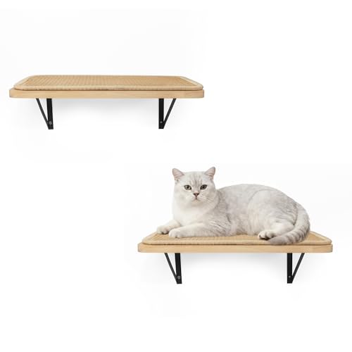 2PCS Cat Wall Shelves with Scratching Mat, 16.6x9.7 Inch Solid Pine Wood Wall Mounted Kitten Floating Shelf, Window Perch Hammock, Cats Wall Furniture for Cats Sleeping, Playing, Climbing - color: Wood Shelf, size: Double Shelf (2 Pieces)