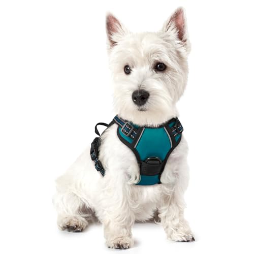 rabbitgoo Dog Harness No Pull with 2 Leash Clips, Adjustable Soft Padded, Reflective Oxford No Choke Pet Vest with Easy Control Handle for Puppy, Blue Coral, XS - color: Blue Coral, size: X-Small