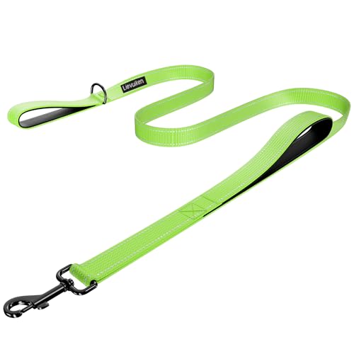 Dog Leash 4ft Long, Double Handle Dog Leash for Safety Control Training, Heavy Duty Dog Leads with Traffic Padded Handles, Reflective Leashes for Small Medium Large Dogs(4ft, Green) - color: Green, size: 4ft