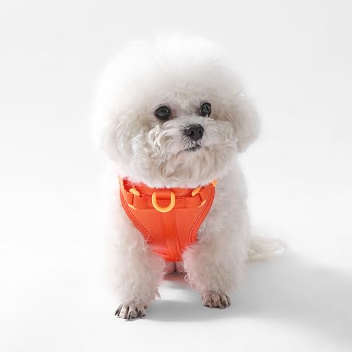 HNS1000A Arlo Extra Small Adjustable Soft Padded No Pull Pet Harness with 3 Buckles and 3 Leash Clips, Aperol - color: Dark Orange, size: X-Small (Chest: 11.8 - 17")