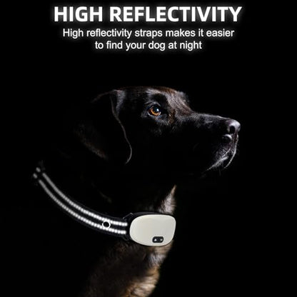 Collar Replacement Strap, Reflective Replacement Nylon Collar Strap Dog GPS Training Bark Receiver Collars, Durable Adjustable E Collar Straps for Small Medium Large Dogs, Black - color: Black
