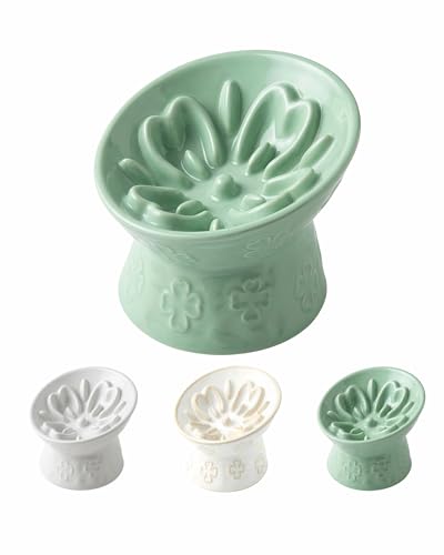 Ceramic Slow Feeder Cat Bowl, 15° Tilted Elevated Cat Slow Eating Bowl for Neck Protection, Anti Vomiting Dog Slow Feeder, Whisker Friendly & No Black Chin for Cats and Small Dogs, Green - color: 02-Green