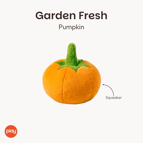 P.L.A.Y. Cute Plush Dog Toys - Fruit & Vegetable Themed Durable Squeaker Chew Toy, Great for Puppies & Small, Medium, Large Dogs - Machine Washable, Recycled Materials (Garden Fresh Pumpkin, Medium) - color: Pumpkin, size: Medium