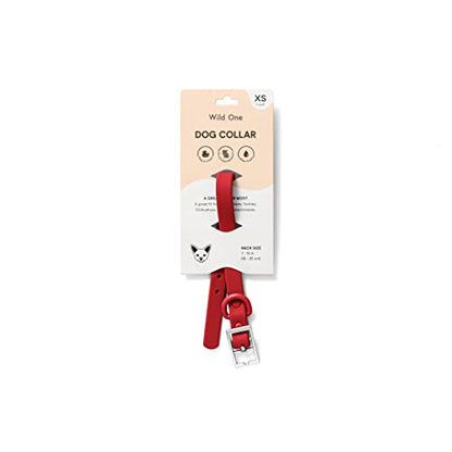 Wild One Dog Collar, Easy-Clean, All Weather Flex-Poly Strap with Metal, Durable, Dirt and Odor Resistant (Strawberry, XS) - color: Strawberry, size: XS