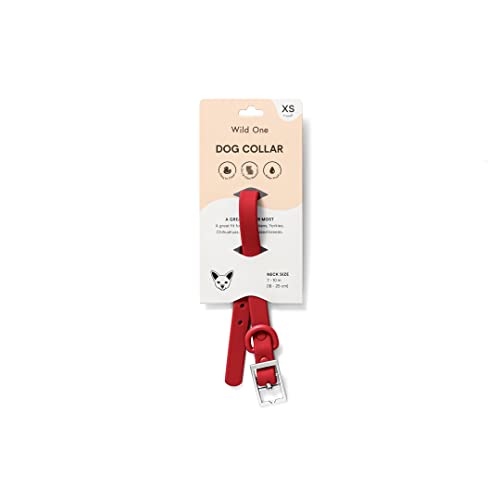 Wild One Dog Collar, Easy-Clean, All Weather Flex-Poly Strap with Metal, Durable, Dirt and Odor Resistant (Strawberry, XS) - color: Strawberry, size: XS
