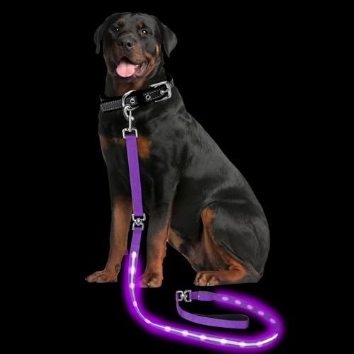 Light up Dog Leash for Night Walking - USB C Rechargeable - Waterproof - Dog Leashes with Flashlight - LED Leash for Dogs - 6Ft, Purple - color: Purple