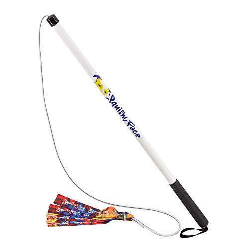 Squishy Face Studio Flirt Pole V2 with Lure - Durable Dog Toy for Fun Obedience Training & Exercise, Rainbow Tie Dye, Regular - 36 inch - color: Rainbow Tie Dye, size: Regular (36 in), style: No Squeaker