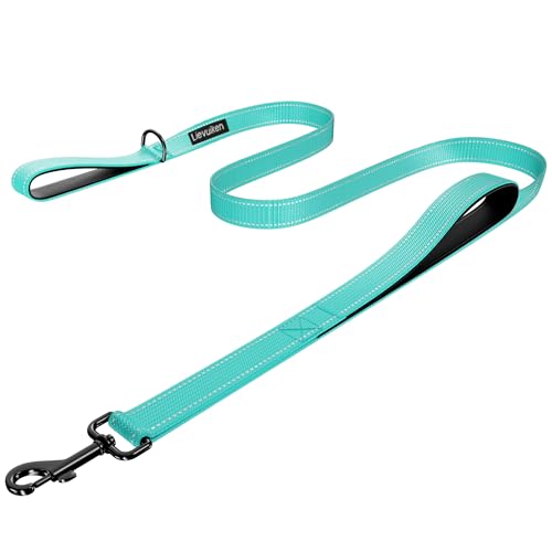 Dog Leash, 4ft Long, Double Handle, Reflective, Turquoise, for Small, Medium, Large Dogs - color: Turquoise, size: 4ft