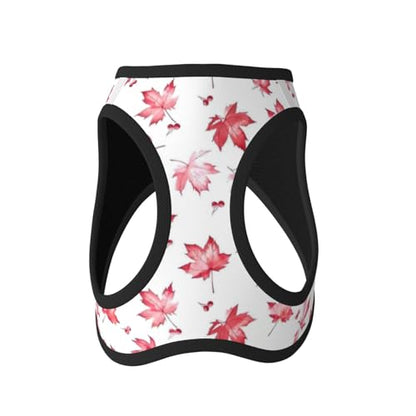 Maple Leaf Pet Harness Escape Proof Dog Harness Adjustable Mesh Padded Reflective Dog Vest Harness and Leash Set Large - color: Style 5, size: Large