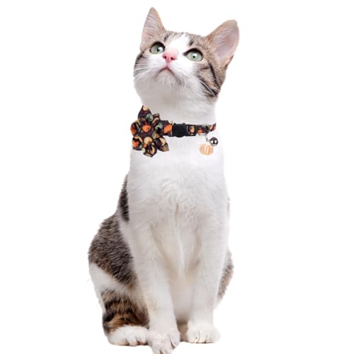 Thanksgiving Day Cat Collar Fall Breakaway with Sunflower and Bell Autumn Holiday for Kitty Adjustable Safety - color: Pumpkin-sunflower