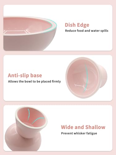 LoeJan Elevated Cat Food and Water Bowls Set, Extra Wide and Raised Ceramic Feeder, Anti-Vomit Whisker-Free Pressure Feeding Bowl for Kittens Adult Cats Small Dogs (Pink, Bowl Set) - color: Pink, size: 2 Pack (Food & Water Bowls)