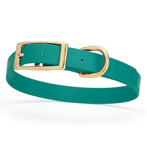 Viper Biothane Heavy Duty Waterproof Dog Collar Strong Coated Nylon Webbing w/Solid Brass Hardware Odor-Proof for Easy Care Easy to Clean High Performance Fits Small Medium or Large Dogs, Blue Aqua