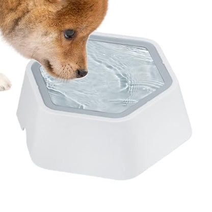 Splash Guard Water Bowl – Floating Disc Feeder, Stable Base Construction, Moisture Control | Cat Dog Hydration Accessory for Floors Furniture Protection - color: Gray