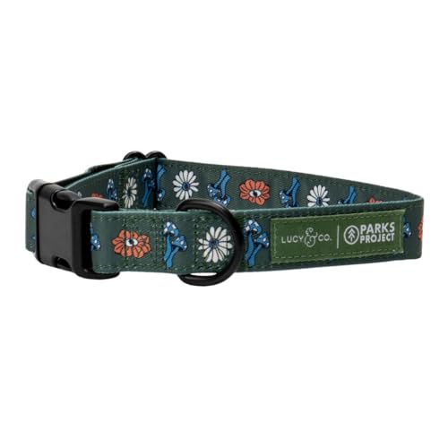 Lucy & Co. x Parks Project Power to the Parks Dog Collar, Adjustable Durable Dog Collar with Cute Print, Small - color: Power to the Parks, size: Small