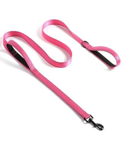Solmoony 6FT Pink Strong Dog Leash with 2 Padded Handles, Traffic Handle Extra Control, Double-Sided Reflective Walking Lead for Small Medium and Large Dogs (Pink, 6FT) - color: Pink, size: 6FT