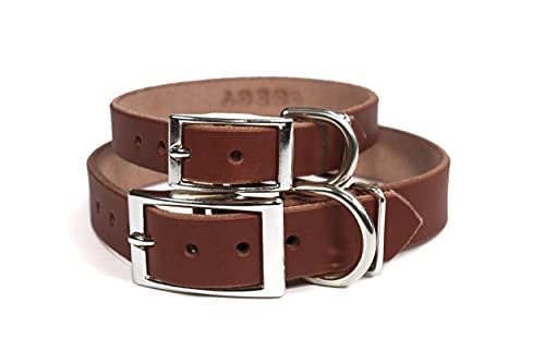 Handmade Studded Bridle Leather Dog Collar, Silver Tone Hardware and Stainless Steel Nameplate (Brown) - color: Brown