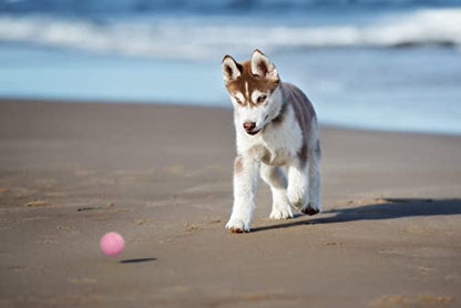 Snug Rubber Dog Balls for Small and Medium Dogs - Tennis Ball Size - Virtually Indestructible (3 Pack - Chic) - color: Chic