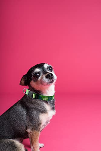 Dog Collar, Cute Floral Pattern, Soft and Adjustable Collar with Quick Release Buckle (XS (Neck 9-13", Width 3/8"), Hawaiian Green) - color: Hawaiian Green, size: XS (Neck 9-13", Width 3/8")