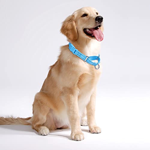 Martingale Dog Collars - Reflective Dog Collar with Quick Release Buckle Adjustable Nylon Training D Solution for Large, Medium, and Small Dogs (L, Blue) - color: Blue, size: L