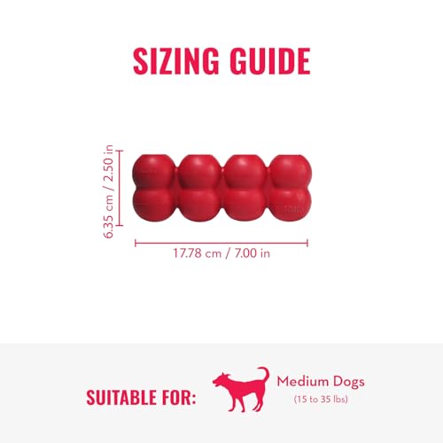 KONG Ring & Goodie Ribbon - Durable Rubber Treat-Dispensing Chew Toy for Dental Health - for Medium Dogs - size: Medium