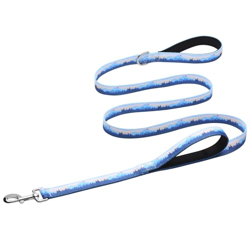 Hikiko Double Handle Dog Leash 6 Foot Strong Nylon Padded Traffic Handles for Walking Training (Blue Hill) - color: Blue Hill, size: 1 in x 6 ft