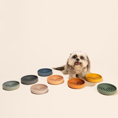 Should We Go? Slow Feeder for Dogs & Cats, The Slowdown Bowl Silicone Slow Eating Mealtime Solution with Modern Lick Mat Design, Reduces Gulping, Fits 1 Cup, 6” Across x 1.25” Tall, Small-Spruce - color: Spruce, size: Small (6” Across x 1.25” Tall)