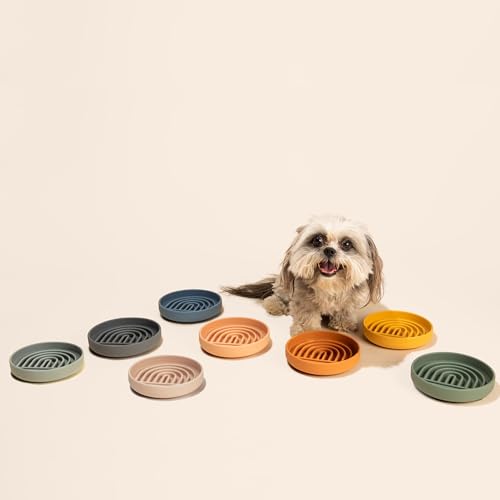 Should We Go? Slow Feeder for Dogs & Cats, The Slowdown Bowl Silicone Slow Eating Mealtime Solution with Modern Lick Mat Design, Reduces Gulping, Fits 1 Cup, 6” Across x 1.25” Tall, Small-Blush - color: Blush - Rainbow Design, size: Small (6” Across x 1.2
