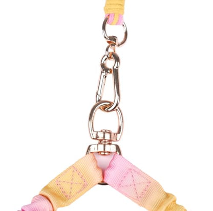 Dual Dog Leash,Double Dog 360 Swivel No Tangle Walking Leash,Comfortable Shock Absorbing Reflective Bungee for Two Dogs (Sunset Bloom) - color: Sunset Bloom