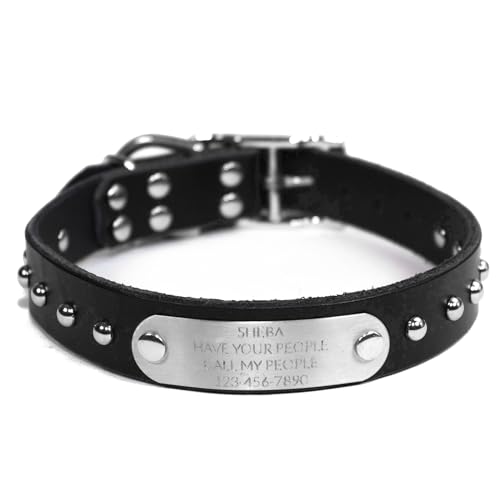 Handmade Studded Bridle Leather Dog Collar, Silver Tone Hardware and Stainless Steel Nameplate (Black) - color: Black