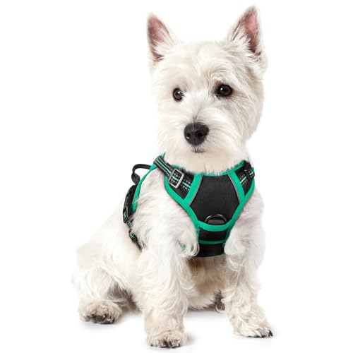 rabbitgoo Dog Harness No Pull with 2 Leash Clips, Adjustable Soft Padded, Reflective Oxford No Choke Pet Vest with Easy Control Handle for Puppy, Black & Turquoise, XS - color: Black & Turquoise, size: X-Small