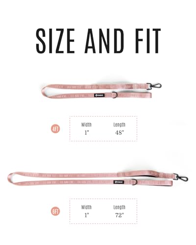Classic Dog Leash - 6FT, Dual Padded Handles, 360° Swivel Hook, Heavy Duty 210D Nylon - No-Pull Design with Traffic Control Handle - for Small/Medium/Large Dogs, Pink - color: Pink, size: 6FT