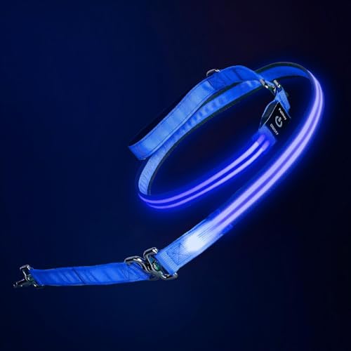 Night Walking LED Dog Leash - 6FT Reflective & Waterproof Light Up Safety Leashes for Dogs - USB Rechargeable, Blue - color: Blue(Fiber optic version)