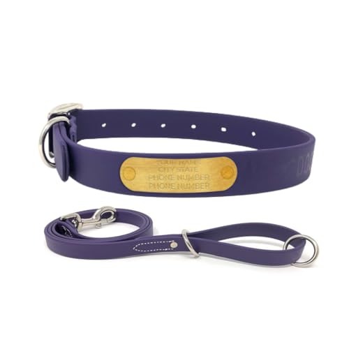 Regal Dog Products Small Purple with Custom Engraved Waterproof Dog Collar and Leash Set | Waterproof Dog Collar with Double Buckle & D Ring - 5'ft Leash | Matching Dog Collar and Leash for Dogs - color: Purple, size: Small Collar with leash