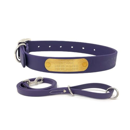 Regal Dog Products Large Purple with Custom Engraved Waterproof Dog Collar and Leash Set | Waterproof Dog Collar with Double Buckle & D Ring - 5'ft Leash | Matching Dog Collar and Leash for Dogs - color: Purple, size: Large Collar with leash