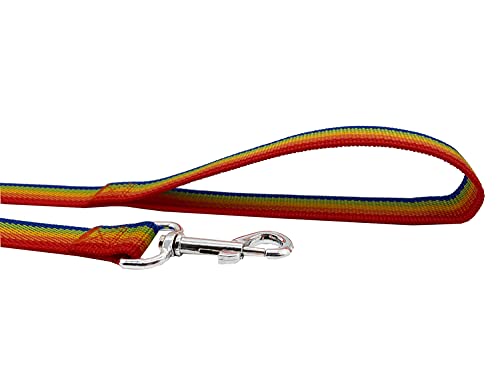 Nylon Dog Training Leash, Traction Rope, 4/5/6 Feet Long, 3/4 Inch 1 Inch Wide, for Small and Medium Dogs (1'' x 4 FT, Rainbow) - color: Rainbow, size: 1'' x 4 FT
