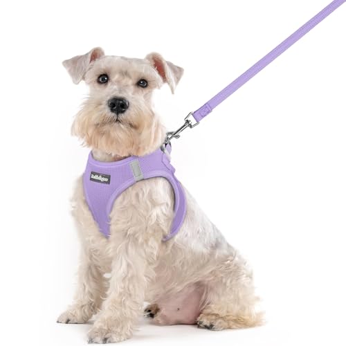 rabbitgoo Dog Harness Medium Sized and Leash Set, Step in Soft Light Puppy Vest, Breathable Mesh Pet Harness, Reflective for Safe Easy Walking, Light Purple XXL - color: Light Purple, size: Xxl (chest: 21.6 - 23.7")